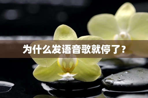 为什么发语音歌就停了？