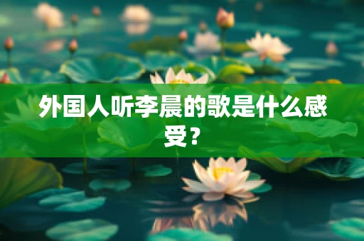 外国人听李晨的歌是什么感受？