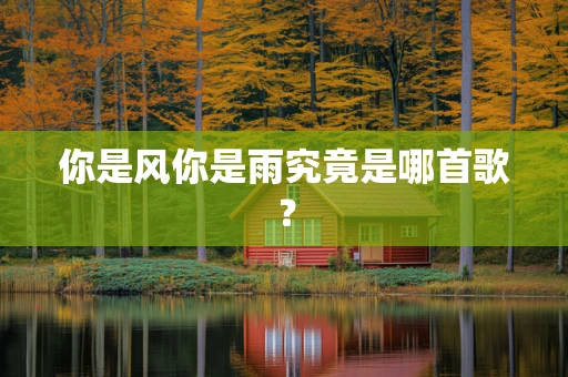 你是风你是雨究竟是哪首歌？