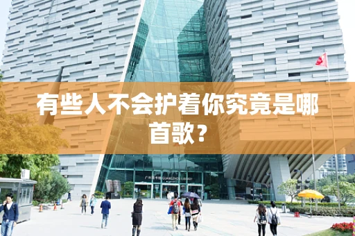 有些人不会护着你究竟是哪首歌？