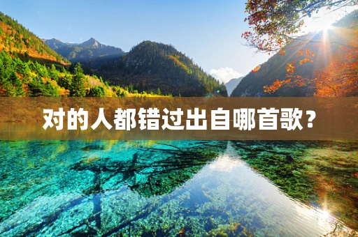 对的人都错过出自哪首歌？