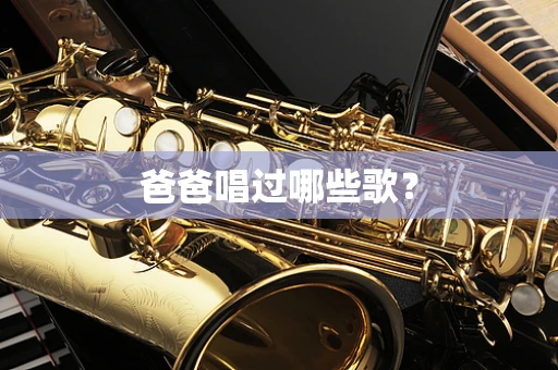 爸爸唱过哪些歌？