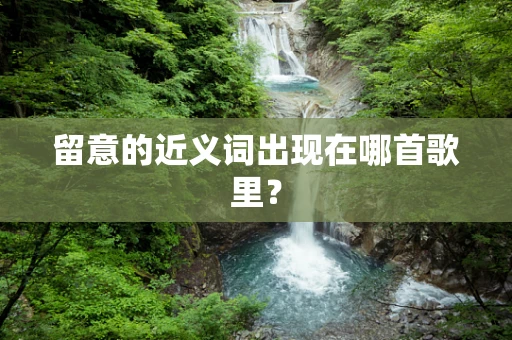 留意的近义词出现在哪首歌里？