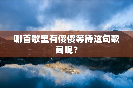 哪首歌里有傻傻等待这句歌词呢？