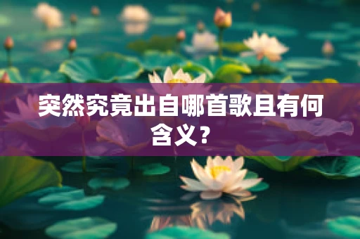 突然究竟出自哪首歌且有何含义？