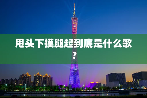 甩头下摸腿起到底是什么歌？