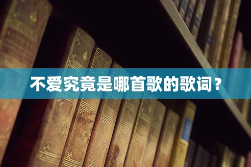 不爱究竟是哪首歌的歌词？