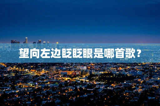望向左边眨眨眼是哪首歌？