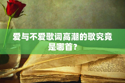 爱与不爱歌词高潮的歌究竟是哪首？