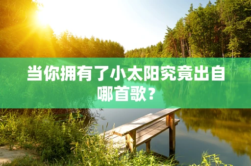 当你拥有了小太阳究竟出自哪首歌？
