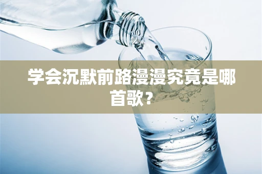 学会沉默前路漫漫究竟是哪首歌？