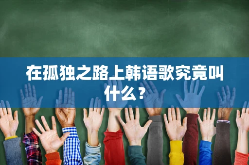 在孤独之路上韩语歌究竟叫什么？