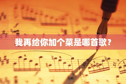 我再给你加个菜是哪首歌？