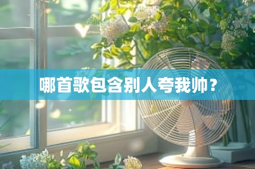 哪首歌包含别人夸我帅？