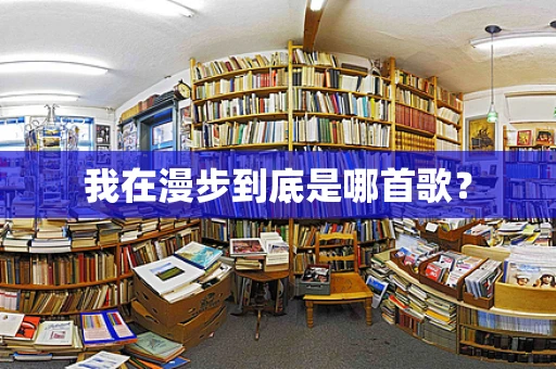 我在漫步到底是哪首歌？