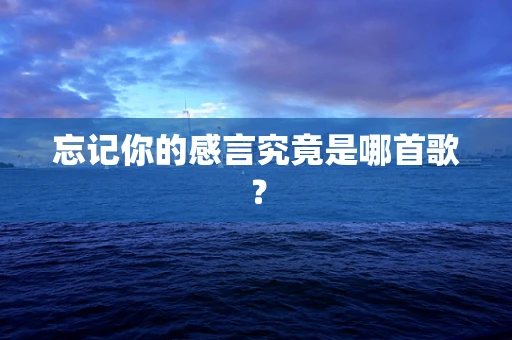 忘记你的感言究竟是哪首歌？