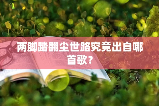 两脚踏翻尘世路究竟出自哪首歌？