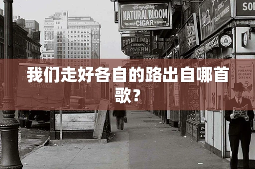 我们走好各自的路出自哪首歌？