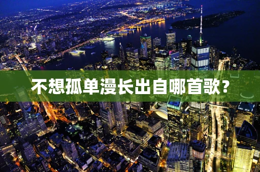 不想孤单漫长出自哪首歌？