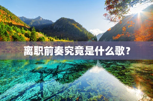 离职前奏究竟是什么歌？