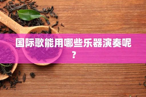 国际歌能用哪些乐器演奏呢？