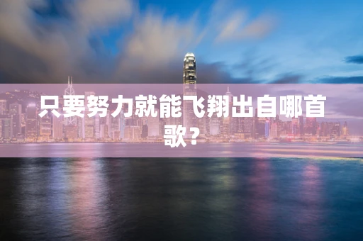只要努力就能飞翔出自哪首歌？