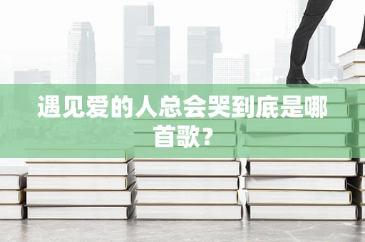 遇见爱的人总会哭到底是哪首歌？