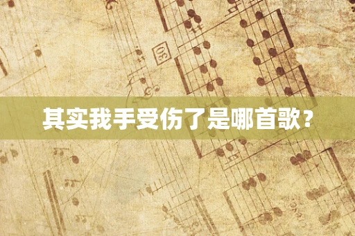 其实我手受伤了是哪首歌？