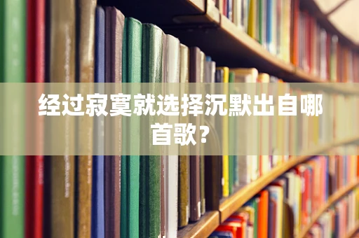 经过寂寞就选择沉默出自哪首歌？
