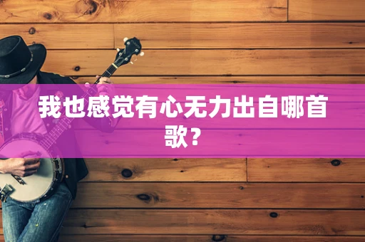 我也感觉有心无力出自哪首歌？