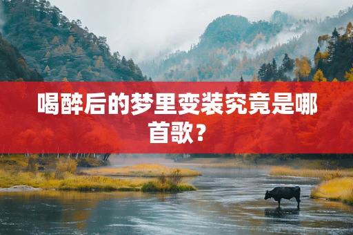 喝醉后的梦里变装究竟是哪首歌？