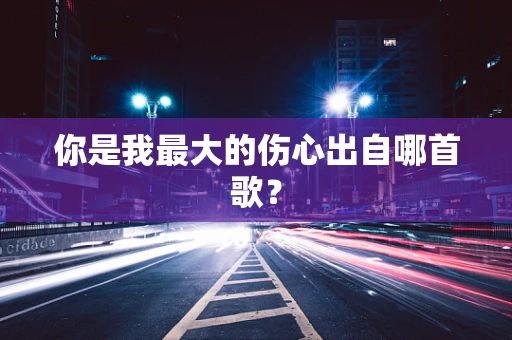 你是我最大的伤心出自哪首歌？