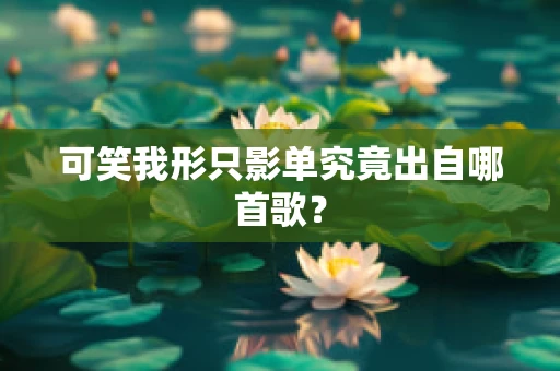 可笑我形只影单究竟出自哪首歌？