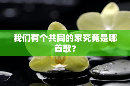 我们有个共同的家究竟是哪首歌？