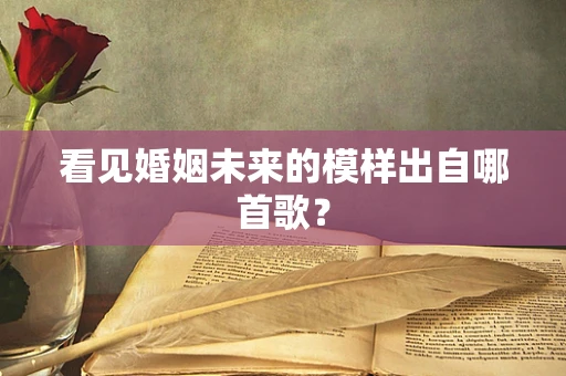 看见婚姻未来的模样出自哪首歌？