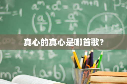 真心的真心是哪首歌？
