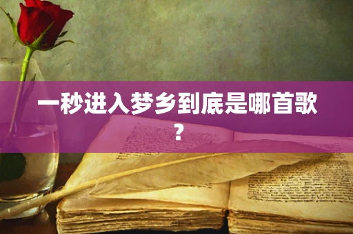 一秒进入梦乡到底是哪首歌？