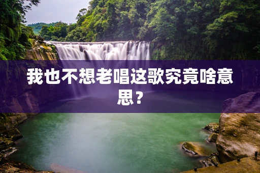 我也不想老唱这歌究竟啥意思？