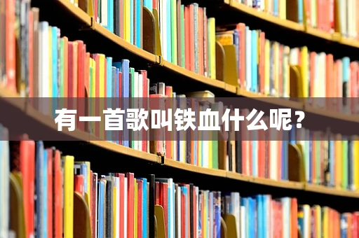 有一首歌叫铁血什么呢？