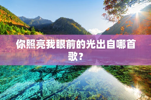 你照亮我眼前的光出自哪首歌？