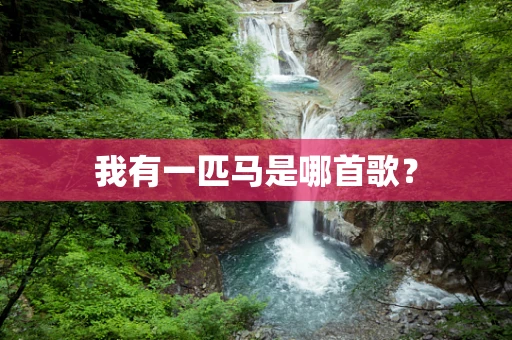 我有一匹马是哪首歌？