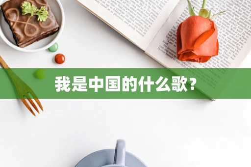 我是中国的什么歌？