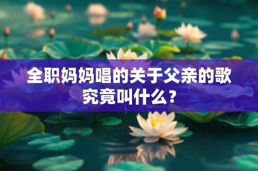 全职妈妈唱的关于父亲的歌究竟叫什么？