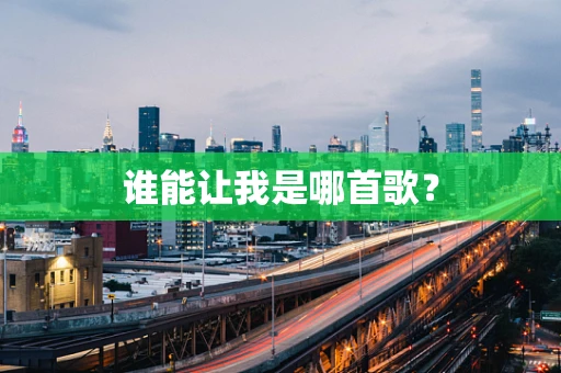 谁能让我是哪首歌？