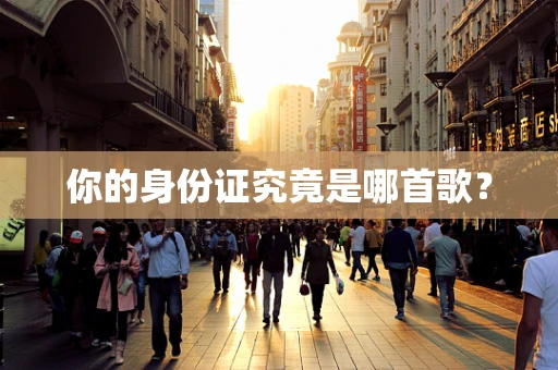 你的身份证究竟是哪首歌？