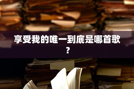 享受我的唯一到底是哪首歌？