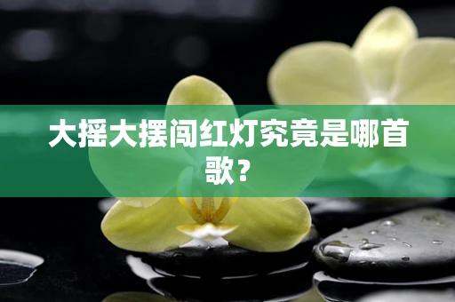 大摇大摆闯红灯究竟是哪首歌？