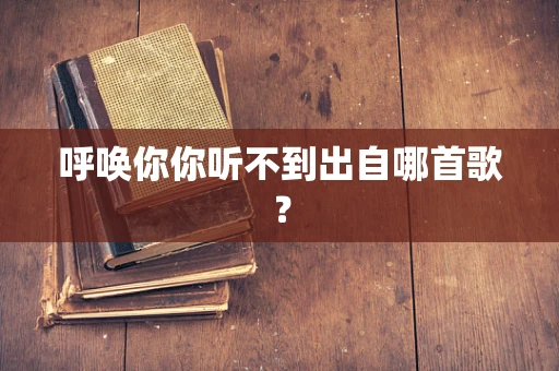 呼唤你你听不到出自哪首歌？