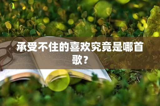 承受不住的喜欢究竟是哪首歌？