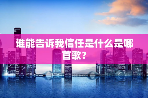 谁能告诉我信任是什么是哪首歌？